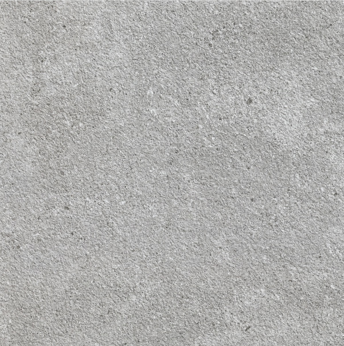 Core Dolphin (15 mm) — Full body · outdoor porcelain tile, Matt