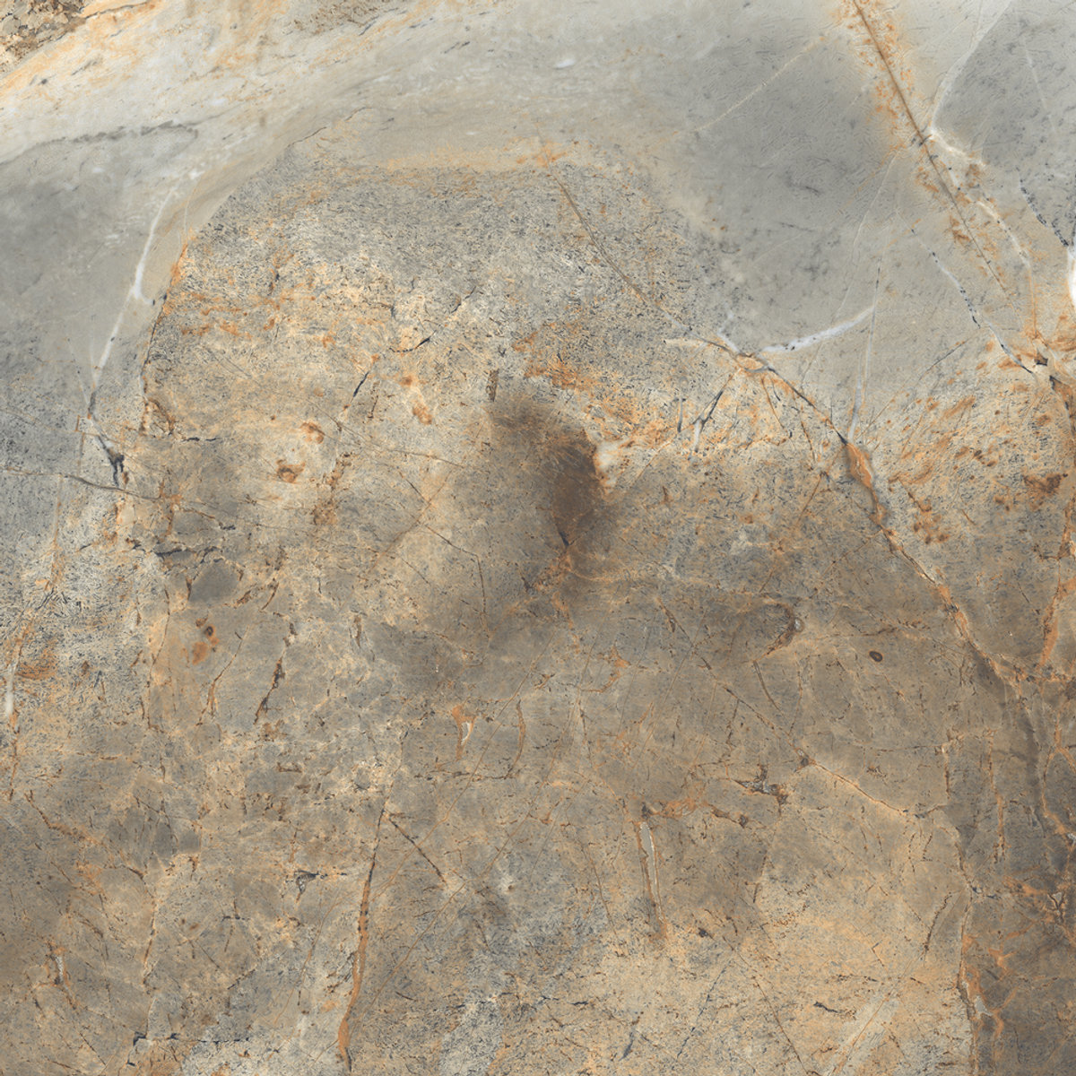 Omicron Brown — Marble look porcelain tile, Polished